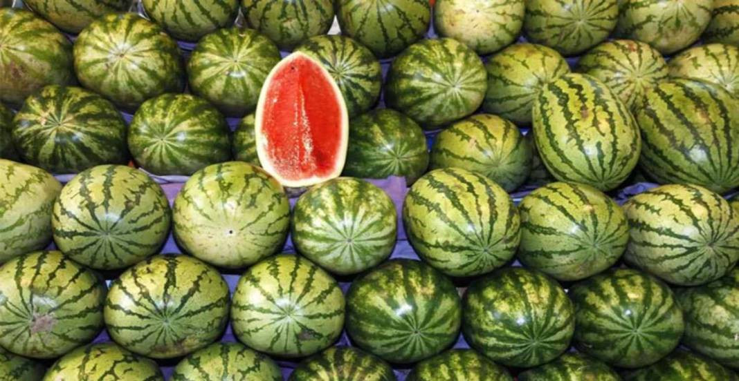 Usta manavlar biliyor sadece bu sırları! Karpuz seçerken yapın asla kelek çıkmıyor - Resim: 34